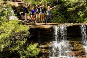 Blue Mountains: tour panoramico privato con soste facoltative