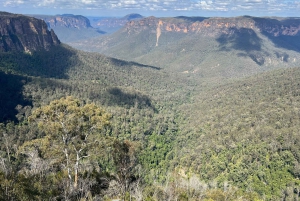 Blue Mountains: tour panoramico privato con soste facoltative