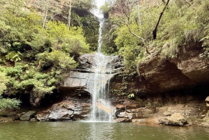 Blue Mountains | Privat tur | 1-7 personer | Fra Sydney