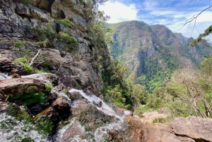 Blue Mountains | Privétour | 1 - 7 personen | Vanaf Sydney