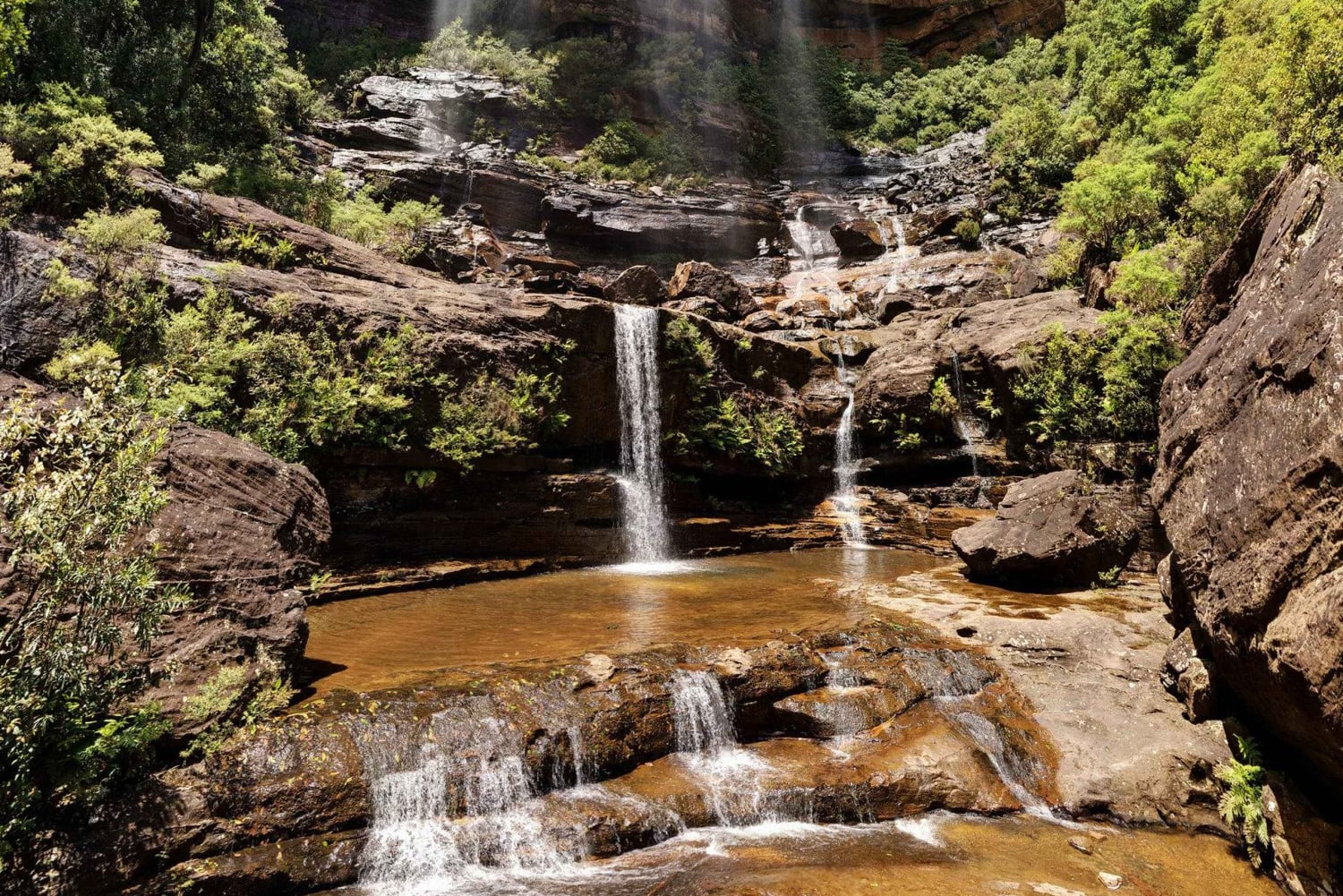 Tour privado de las Montañas Azules desde Sydney