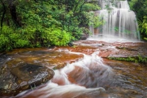 Tour particular pelas Blue Mountains saindo de Sydney