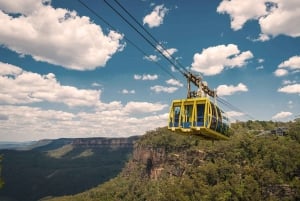 Tour privado de las Montañas Azules desde Sydney