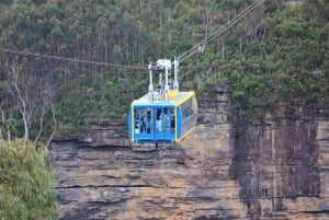 Fra Sydney: Blue Mountains privat tur