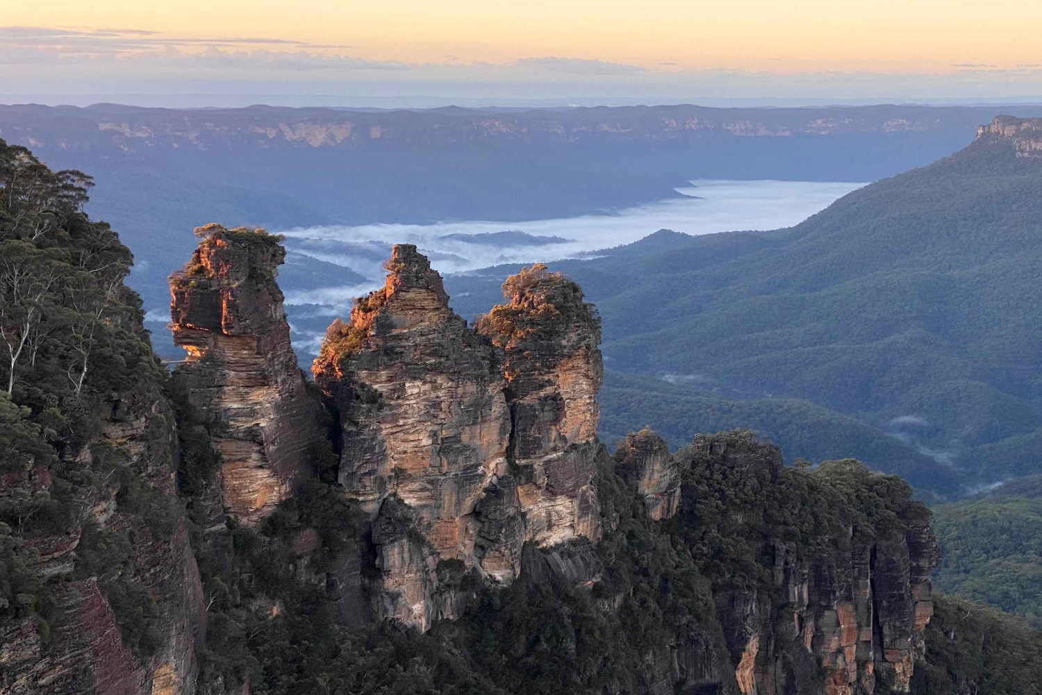 フェザーデール・ワイルドライフ・パークと行くブルーマウンテンズ・プライベートツアー