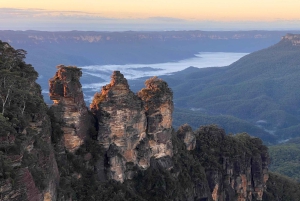 フェザーデール・ワイルドライフ・パークと行くブルーマウンテンズ・プライベートツアー