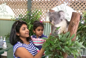 フェザーデール・ワイルドライフ・パークと行くブルーマウンテンズ・プライベートツアー