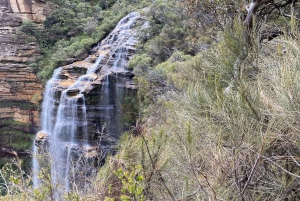 フェザーデール・ワイルドライフ・パークと行くブルーマウンテンズ・プライベートツアー