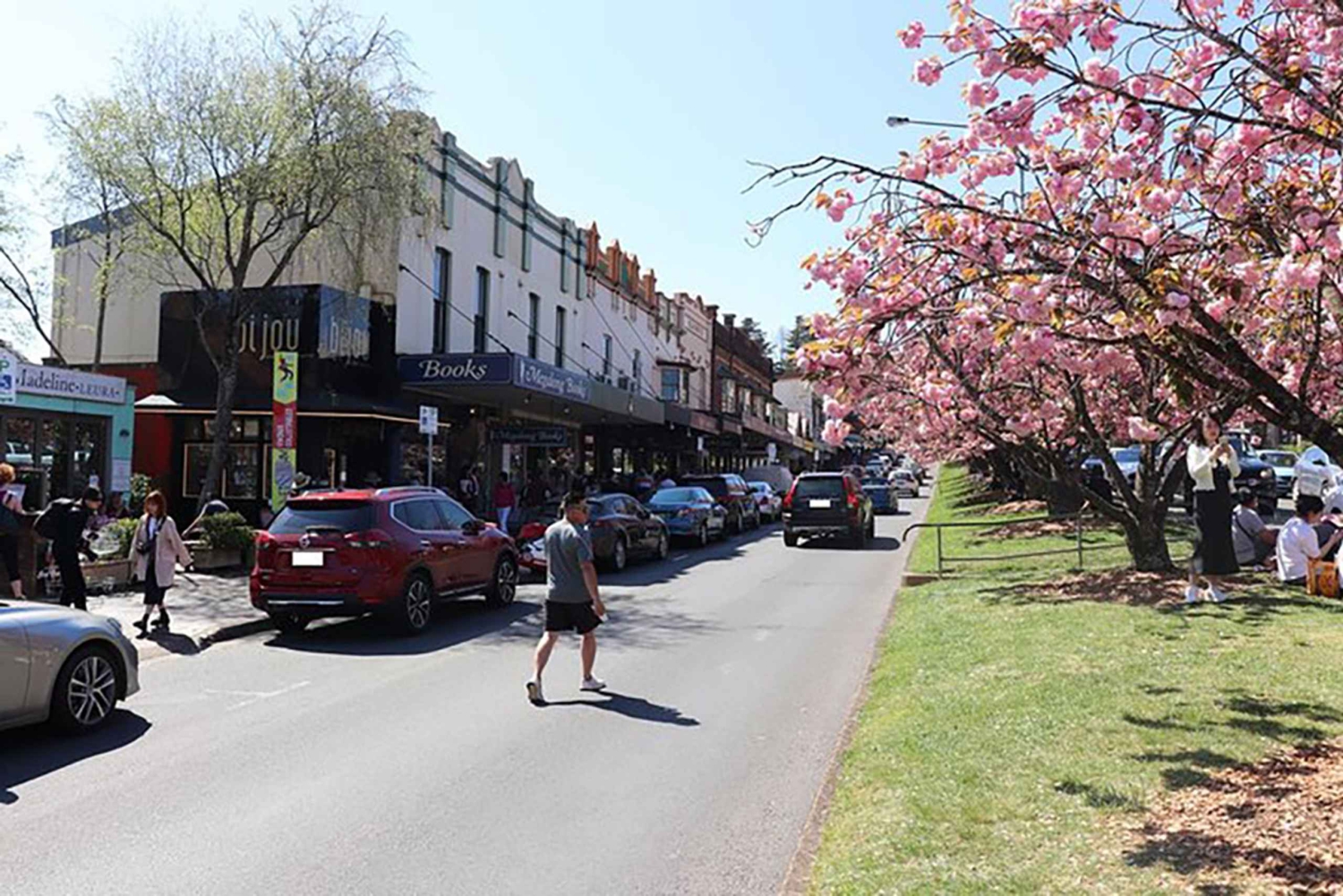 Blue Mountains: private Tour mit Wildtieren und Flusskreuzfahrt