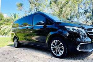 Blue Mountains: private Tour mit Wildtieren und Flusskreuzfahrt