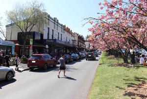 Blue Mountains: private Tour mit Wildtieren und Flusskreuzfahrt