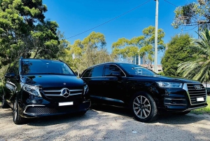 Blue Mountains: private Tour mit Wildtieren und Flusskreuzfahrt