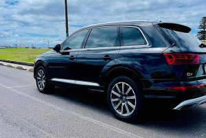 Blue Mountains: private Tour mit Wildtieren und Flusskreuzfahrt