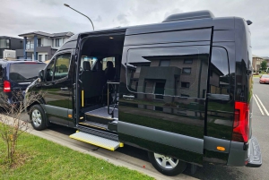 Blue Mountains: private Tour mit Wildtieren und Flusskreuzfahrt