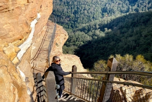 Blue Mountains Private Tour with Wildlife Park