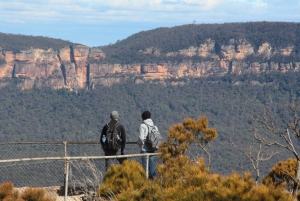 Blue Mountains Private Tour with Wildlife Park