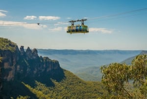 Blue Mountains: Scenic World, Zoo, Koala Photo with Lunch