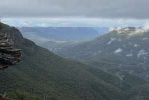 Blue Mountains: Scenic World, Zoo, Koala Photo with Lunch