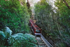 Blue Mountains: Scenic World, Zoo, Koala Photo with Lunch