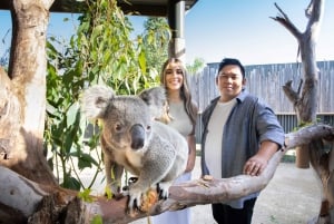 Blue Mountains: Scenic World, Zoo, Koala Photo with Lunch