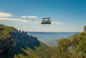 Blue Mountains: Scenic World, Ferry, Zoo & Koala Photo