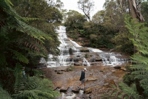 Blue Mountains: Scenic World, Ferry, Zoo & Koala Photo