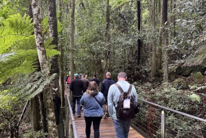 Blue Mountains: Scenic World, Ferry, Zoo & Koala Photo