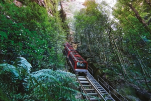 Blue Mountains: Scenic World, Ferry, Zoo & Koala Photo