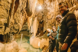 Blue Mountains Scenic World Nature and Wildlife Tour