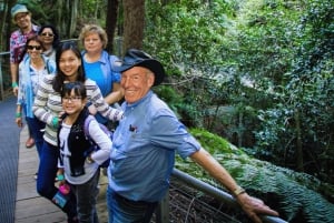 Blue Mountains Scenic World Nature and Wildlife Tour