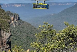 Blue Mountains: Scenic World, Skyway, Zoo & Wombat-foton