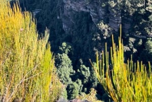 Blue Mountains: Scenic World, Skyway, Zoo & Wombat-foton