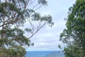 Blue Mountains: Scenic World, Skyway, Zoo & Wombat-foton