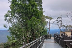 Blue Mountains: Scenic World, Skyway, Zoo & Wombat-foton