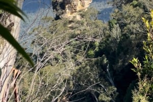 Blue Mountains: Scenic World, Skyway, Zoo & Wombat-foton