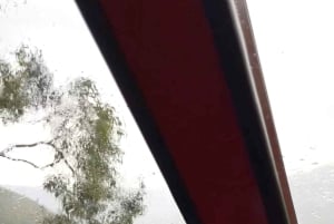 Blue Mountains: Scenic World, Skyway, Zoo & Wombat-foton