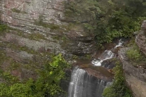 Blue Mountains: Scenic World, Skyway, Zoo & Wombat-foton