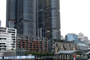 Blue Mountains: Scenic World, Skyway, Zoo & Wombat-foton