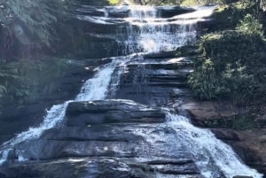 Blue Mountains: Scenic World, Skyway, Zoo & Wombat-foton