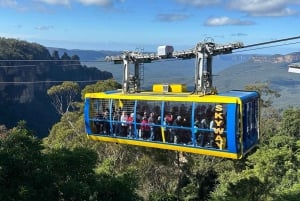 Blue Mountains: Scenic World, Waterfalls, and Wildlife Park