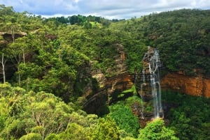 Sydney : Blue Mountains Scenic World, Wildlife Park et déjeuner