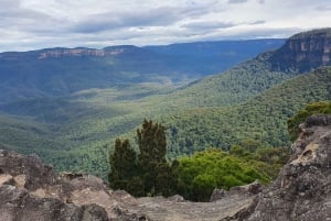Sydney: Blue Mountains Scenic World, parque de vida selvagem e almoço