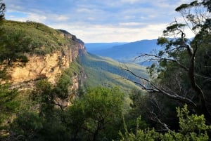 Blue Mountains: Sunset Waterfalls Wildlife Tour från Sydney