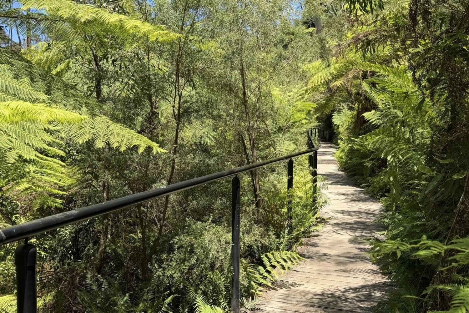 Blue Mountains Tour, Katoomba Falls & Cockatoos Small Group