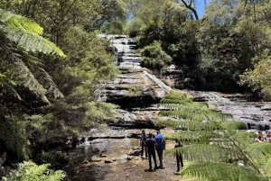 Blue Mountains Tour, Katoomba Falls & Cockatoos Small Group