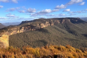 Blue Mountains Tour, Katoomba Falls & Cockatoos Small Group