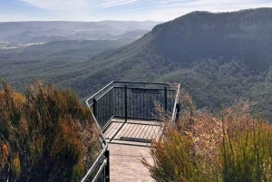 Blue Mountains Tour, Katoomba Falls & Cockatoos Small Group