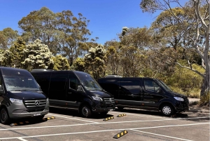 Blue Mountains Tour, Katoomba Falls & Cockatoos Small Group