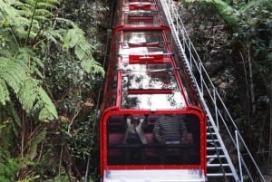 Blue Mountains Tour, Katoomba Falls & Cockatoos Small Group