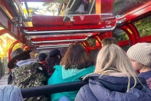 Blue Mountains Tour, Katoomba Falls & Cockatoos Small Group